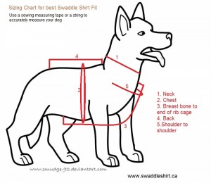 T-shirt sizing